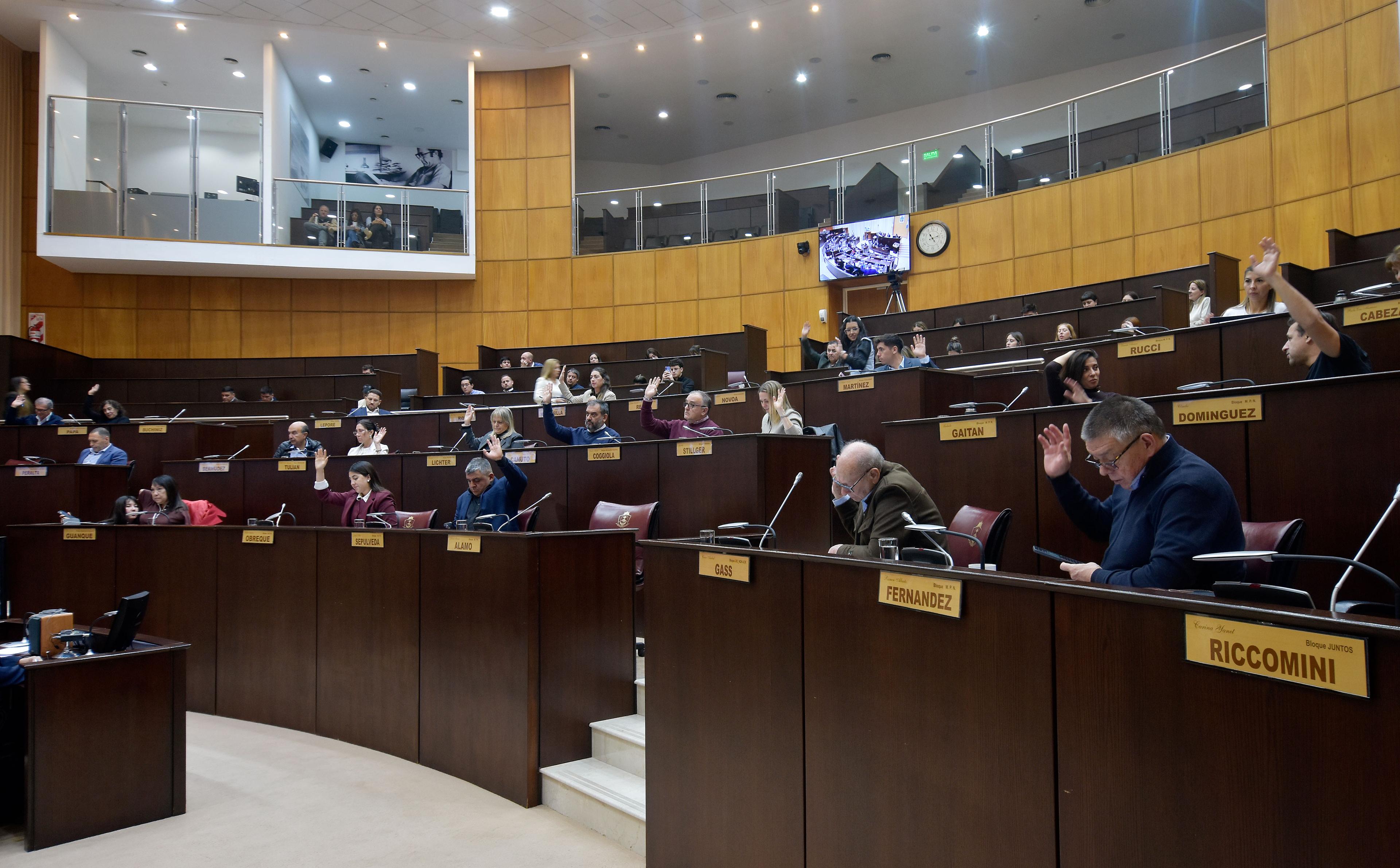 La Legislatura de Neuquén reconoció al Club Andino Villa La Angostura por sus 50 años de historia y aporte comunitario