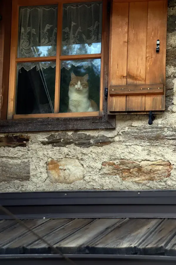 Investigan una denuncia por presunto maltrato animal en una hostería de Villa La Angostura.