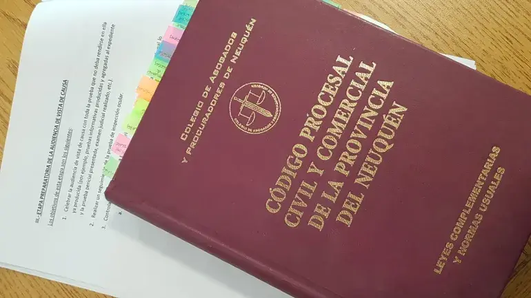 Neuquén impulsa la reforma del Código Procesal de Familia con participación de distintos sectores