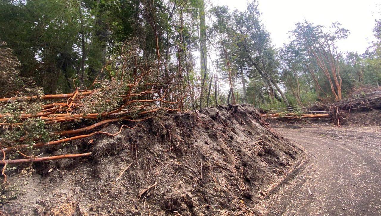 Multa millonaria por daño ambiental en la costa del Correntoso